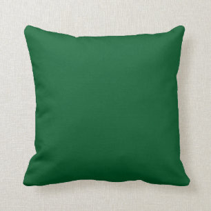 Solid Kelly Green Pop of Colour Cushion