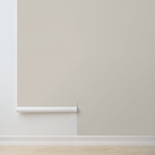 Solid Light Taupe Plain Basic Simple Neutral Colou Wallpaper