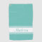 Solid Light Teal White Stripe Script Name
