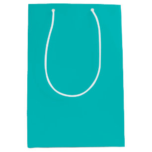 Solid robins egg blue turquoise light sea green medium gift bag