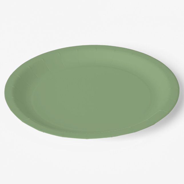 Solid Soft Green Paper Plate (Angled)
