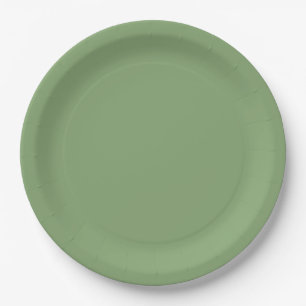 Solid Soft Green Paper Plate