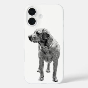 Solid Stance, Everyday Armour iPhone 16 Case