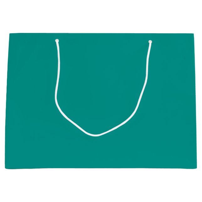 Solid Teal Green Large Gift Bag (Front)