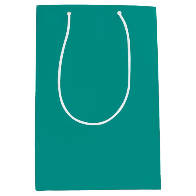 Solid Teal Green Medium Gift Bag (Front)