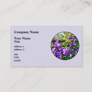 Solina Clematis on Fence Business Card