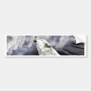 SOLITAIRE  AND LONE BUMPER STICKER