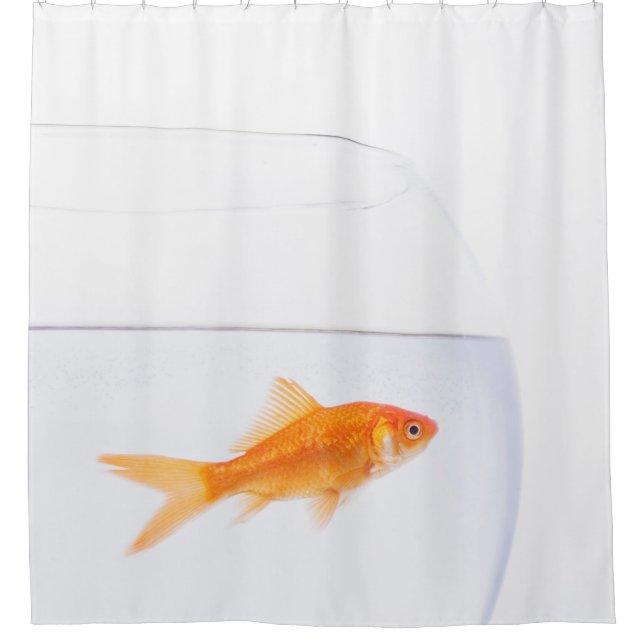 Solitary Goldfish Shower Curtain (Front)