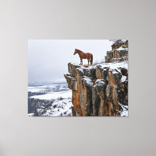 Solitary Horse on a Snow-Covered Cliff in Winter Canvas Print