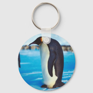 Solitary Penguin Key Ring