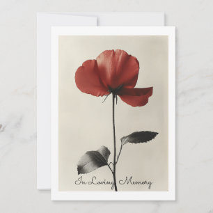 Solitary Red Flower Invitation
