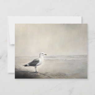 Solitary Seagull by the Shore Postcard
