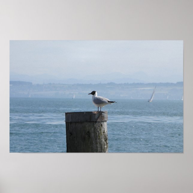 Solitary Seagull on a Post Poster (Front)