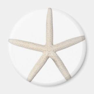 Solitary Starfish Magnet
