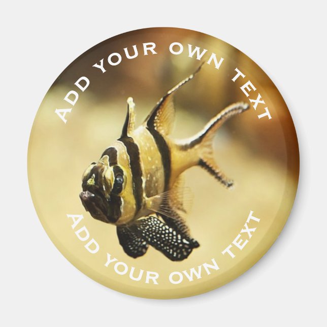 Solitary Stripy Angelfish Underwater Custom Text Magnet (Front)