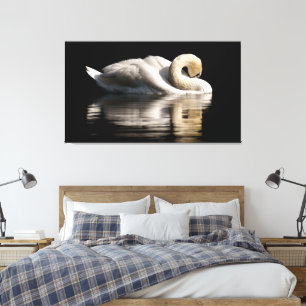 Solitary Swan Canvas Print