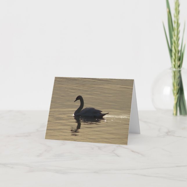 Solitary Swan Card (Front)