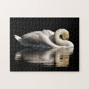 Solitary Swan Jigsaw Puzzle