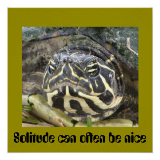 Solitude Can Often Be Nice - Turtle Poster