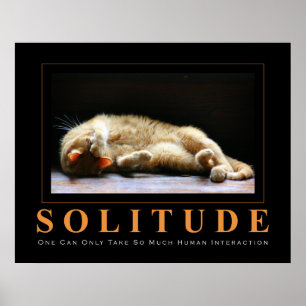 SOLITUDE Cat Photography Anti-Motivational Poster