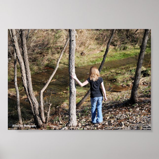 Solitude in the Trees Poster (Front)