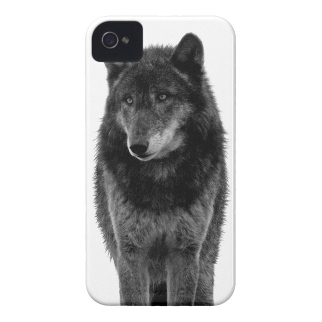 "Solitude" iPhone 4 Case (Back)