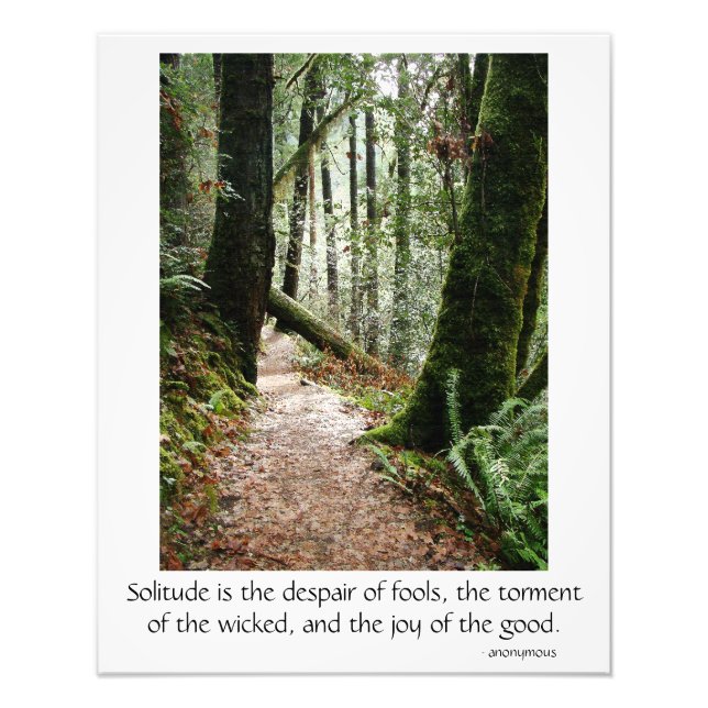 Solitude Quote Trees Redwoods Hiking Trail Poster (Front)