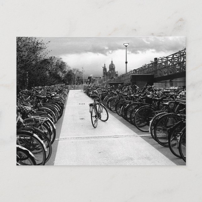 Solo Bike Parking Amsterdam Black and White Postcard (Front)