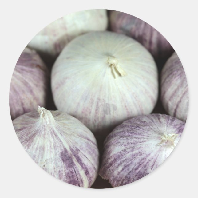 Solo Garlic Classic Round Sticker (Front)