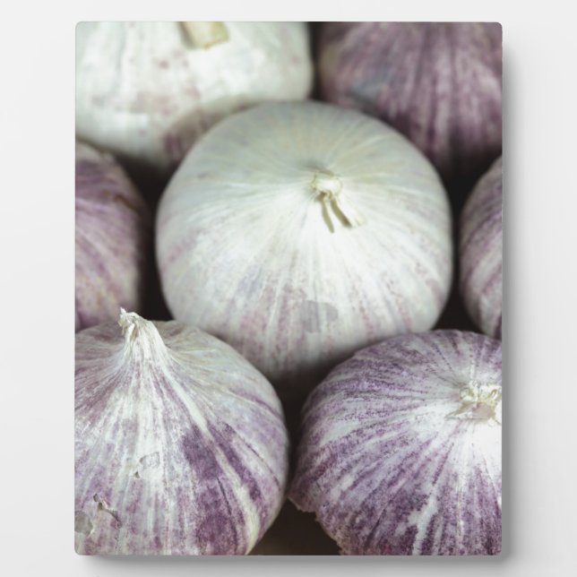 Solo Garlic Plaque (Front)