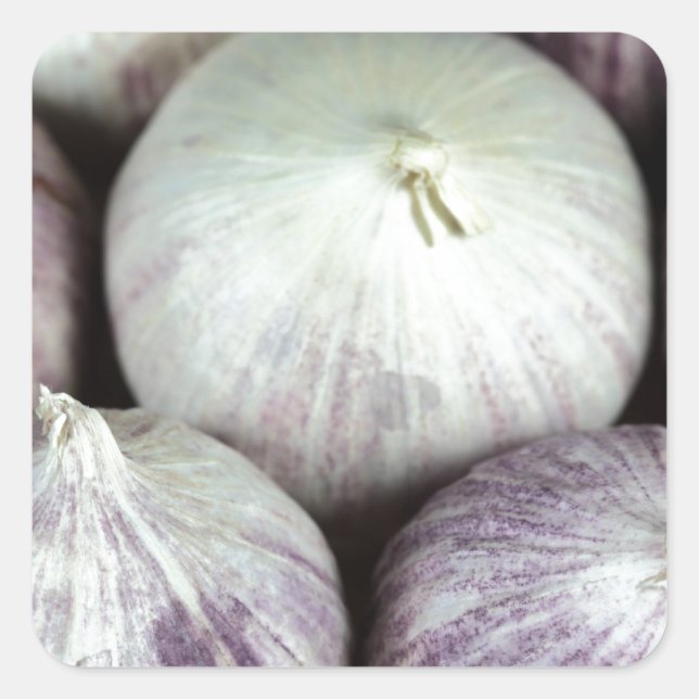 Solo Garlic Square Sticker (Front)