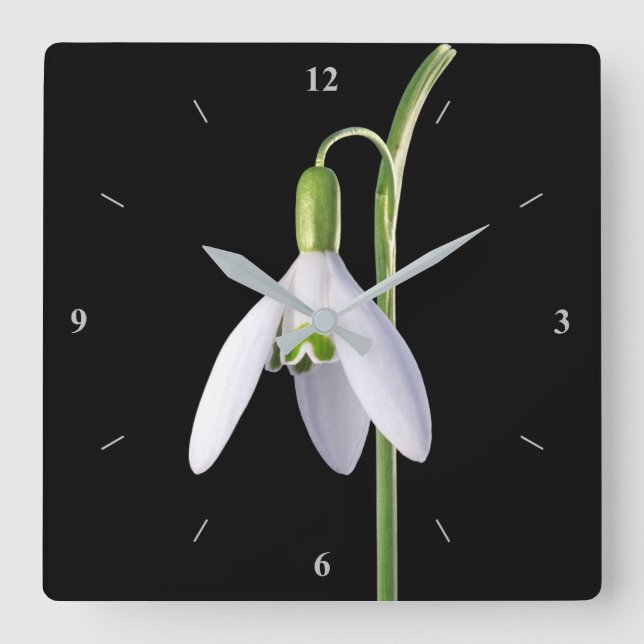 Solo Perfection Square Wall Clock (Front)