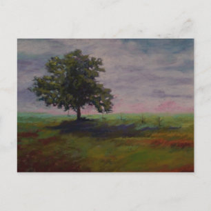 solo postcard