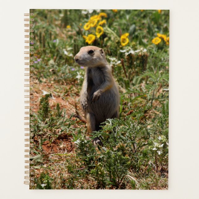 Solo Prairie Dog Planner (Front)
