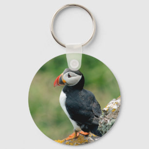 Solo Puffin Key Ring