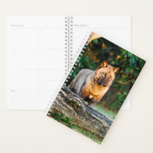 Solo Wolf Planner