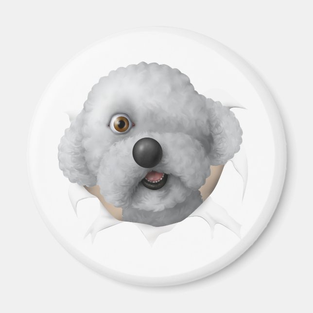 solomon chestburster magnet (Front)