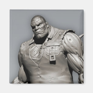 Solomon Grundy Alternate Magnet
