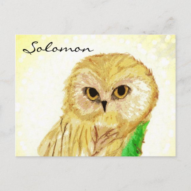 Solomon the Wise Owl From the Sara Books Postcard (Front)