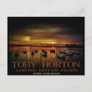 Solomons Island Maryland Postcard