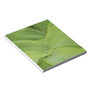 Solomons Seal Notepad