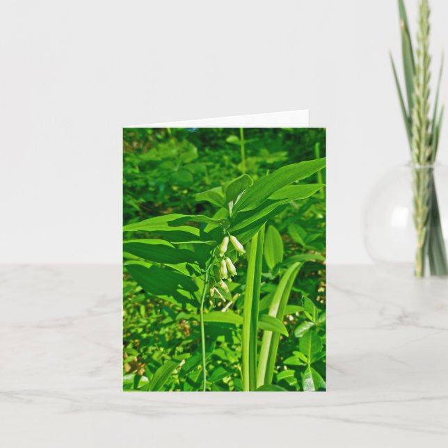 Solomon's Seal Wildflower Note Card (Front)