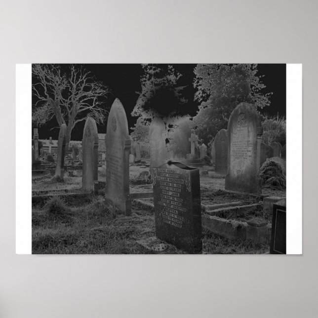 Solorized Poster (Front)