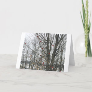 Solstice Card