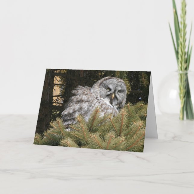 Solstice Card with Great Grey Owl (Front)