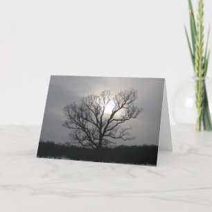 Solstice Sun I Happy Solstice Greeting Card