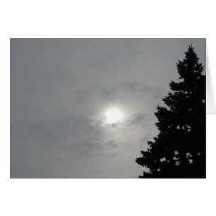 Solstice Sun II Happy Solstice Greeting