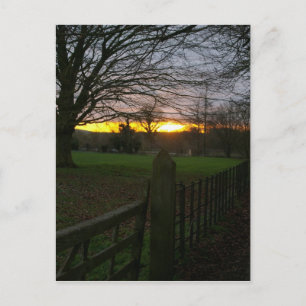 Solstice Sunset Postcard