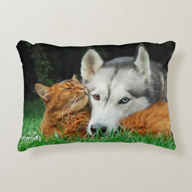 Somali cat and Siberian Husky cute friends huddle Decorative Cushion (Front)