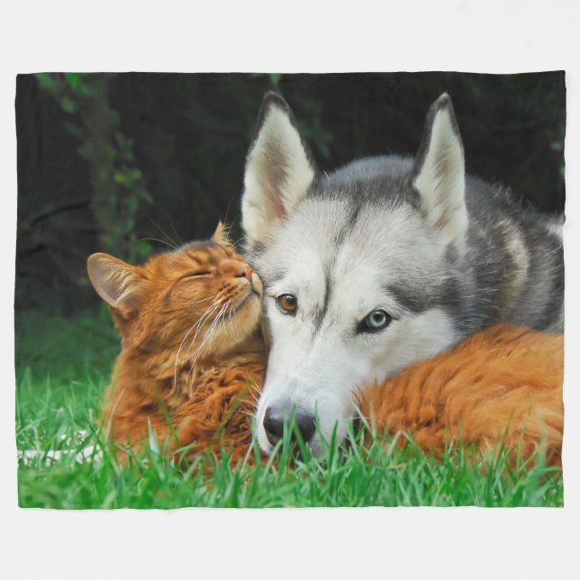 Somali cat and Siberian Husky cute friends huddle Fleece Blanket (Front (Horizontal))